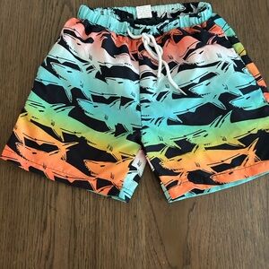 Colorful Shark Print Swim Shorts